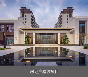 PJS簡(jiǎn)易升降式 兩柱式立體停車房地產(chǎn)驗(yàn)收項(xiàng)目